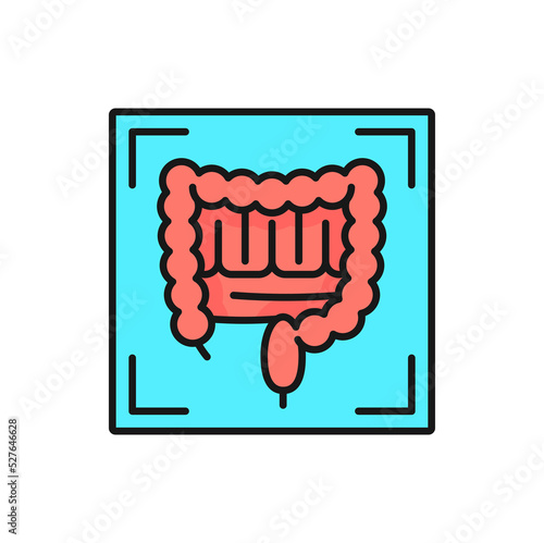 MRI diagnostics, gastrointestinal radiology scan and CT tomography, vector color icon. MRT or MRI magnetic resonance imaging of colon and intestines for medical health diagnostics