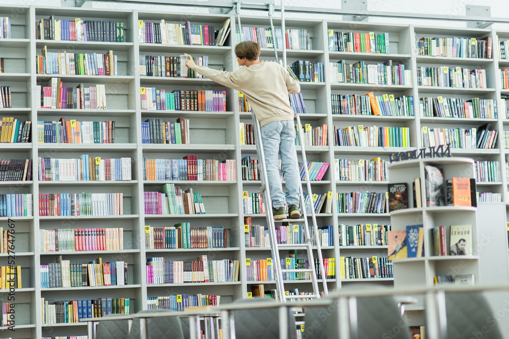 back view of teenage student standing on ladder and choosing books on ...