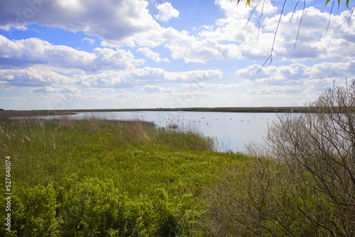 Landscape on Ankudinov island near Zero kilometer of the Danube (0km), Ukraine photo