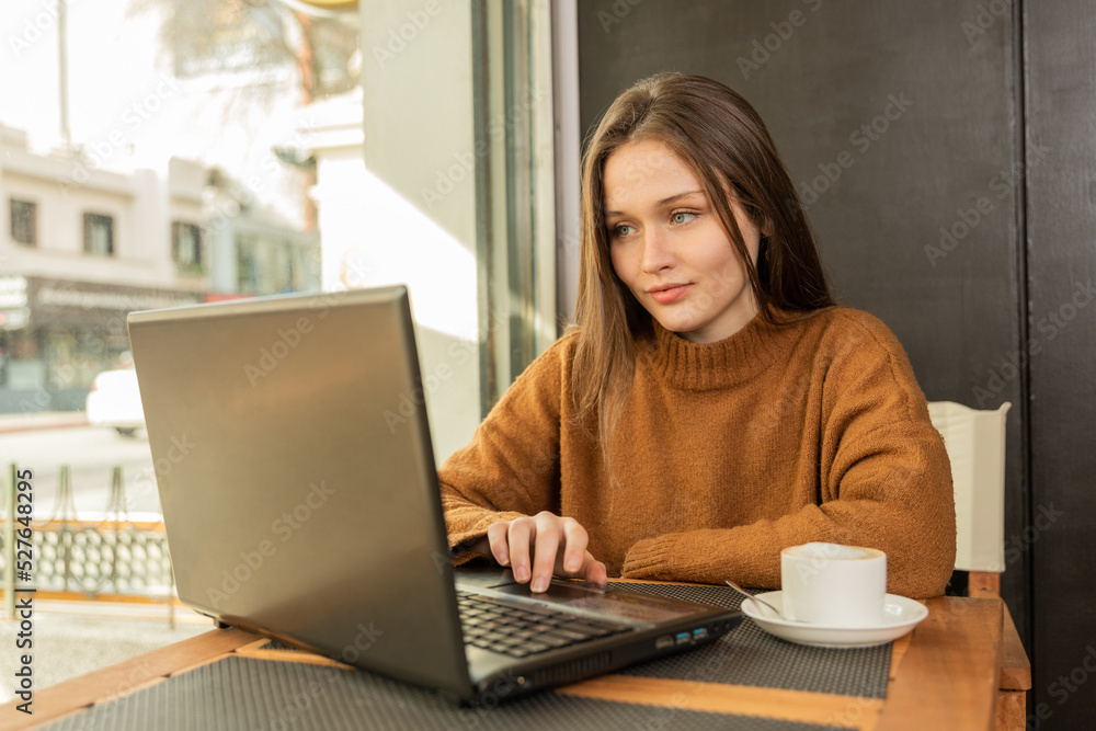 Young woman using laptop in cafe Young woman using laptop in cafe