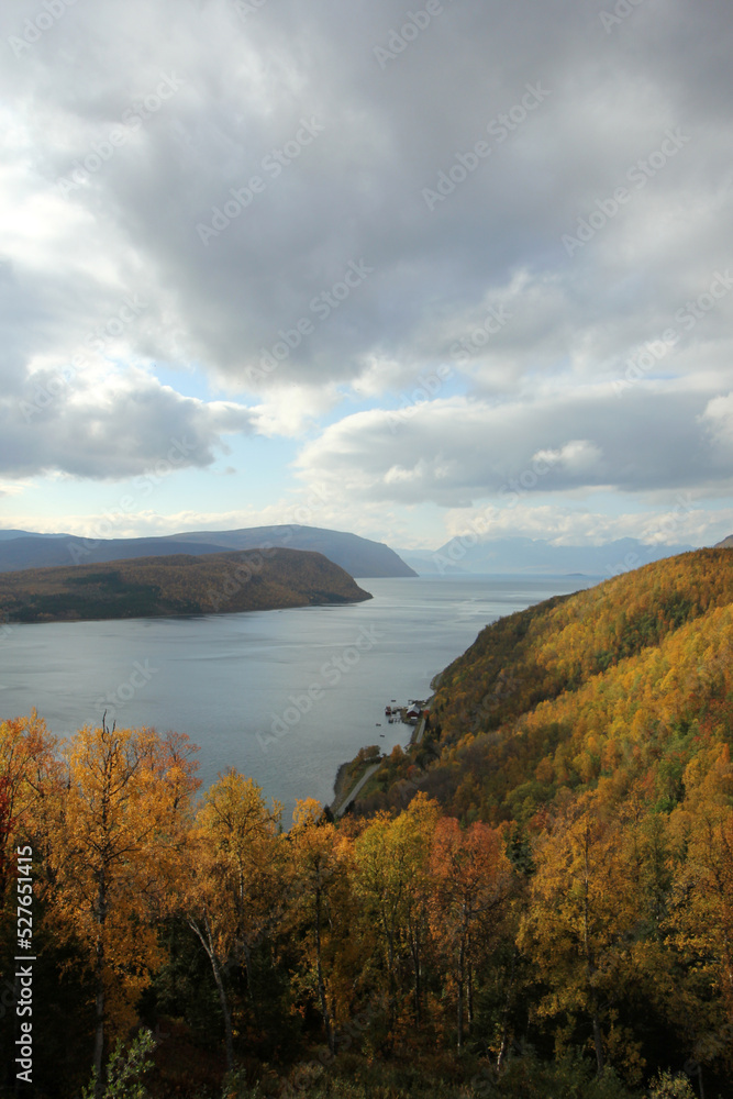 Panorama of a Norwegian fjord. Vertical landscape with Norwegian alps and little village by the sea on the distance.