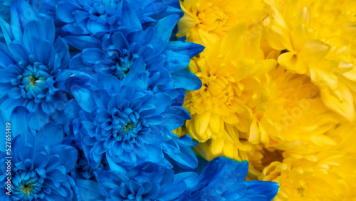 yellow and blue flowers in a bouquet.