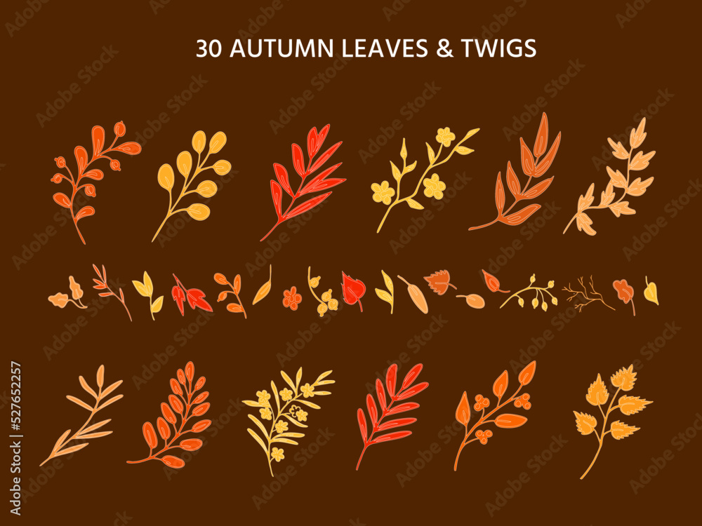 Simple hand drawn sketches of fantasy and real leaves, twigs, herbs, plants in autumn colors. Set of romantic doodles Simple hand drawn sketches of fantasy and real leaves, twigs, herbs, plants in autumn colors. Set of romantic doodles