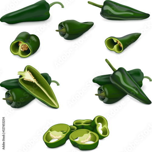 Set of poblano peppers. Whole, half, sliced, and wedges of peppers. Chili peppers. Ancho. Chile ancho. Capsicum annuum. Vegetables. Vector illustration isolated on white background.