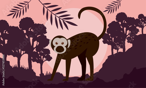 macaque monkey in landscape