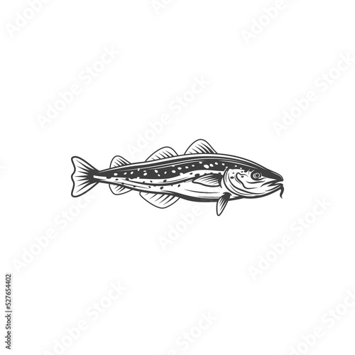 Horse mackerel with flounders, mackerel fishing sport emblem isolated monochrome icon. Vector aquatic animal, atlantic tuna bluefish trophy mascot. Scombridae saltwater fish, bluefin tuna, sardine