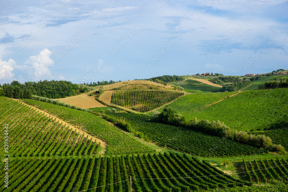 Firenze, Tuscany, Italy 08-26-2022. Beautiful landscape of vineyards in Tuscany