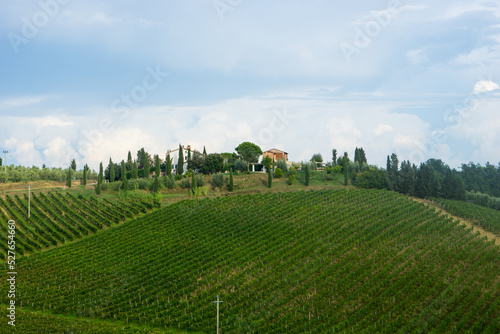 Firenze, Tuscany, Italy 08-26-2022. Beautiful landscape of vineyards in Tuscany