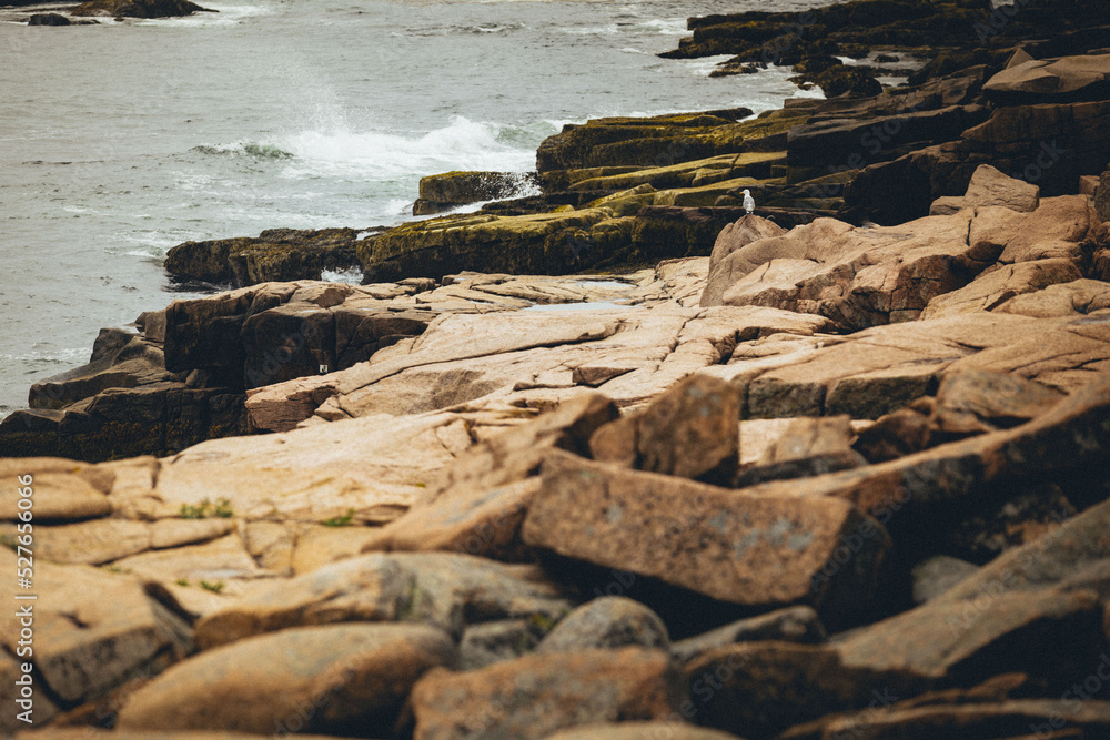 rocks on the beach rocks on the beach