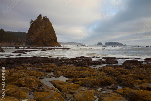 Dramatic sea stack and rocky beach at low tide at Rialto Beach in Olympic National Park 
