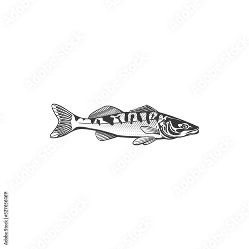Mackerel fish vector icon, saltwater creature, fish species. Monochrome sign for fishing club, seafood restaurant or fishery market isolated on white background