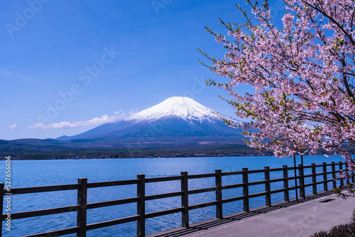 春の山中湖からの富士山２０２２