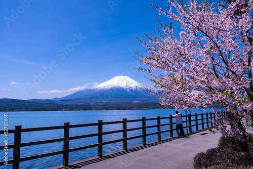 春の山中湖からの富士山２０２２