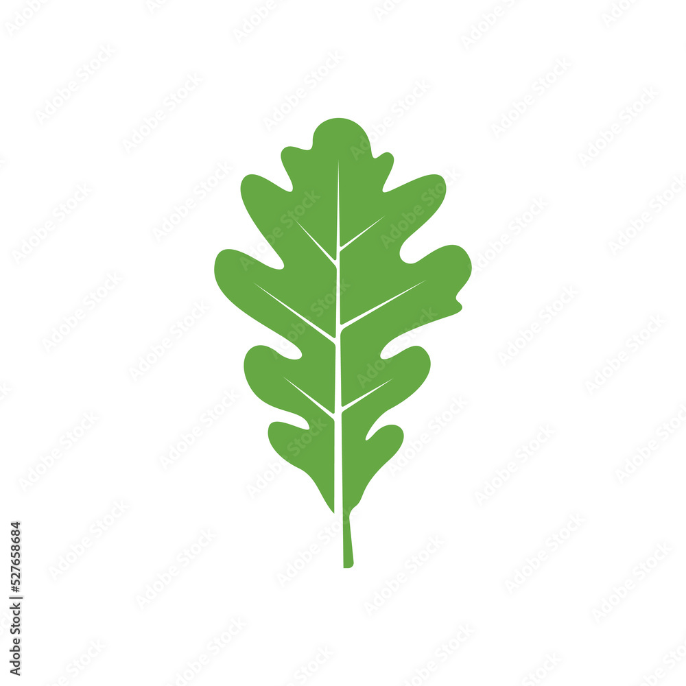 Oak leaf with acorns icon. Oak leaf logo design template. Oak leaf with acorns graphic vector. Vector illustration Oak leaf with acorns icon. Oak leaf logo design template. Oak leaf with acorns graphic vector. Vector illustration