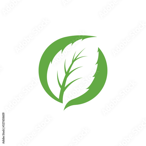 Mint leaves icons. Leaf vector illustration. Green mint leaves ecology nature element vector icon, Leaf Icon, mint leaves logo vector illustration