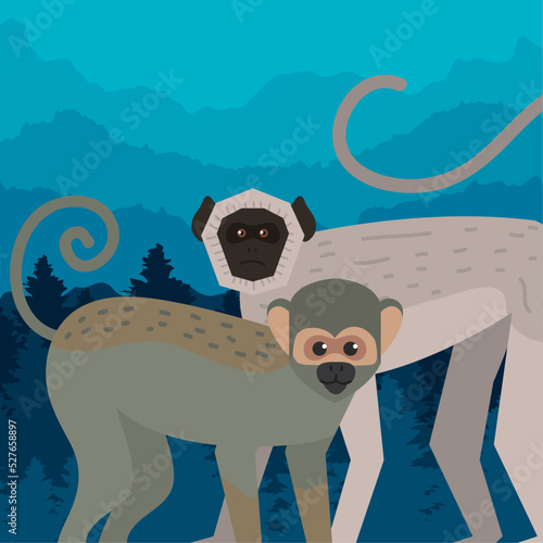 titi and spider monkeys