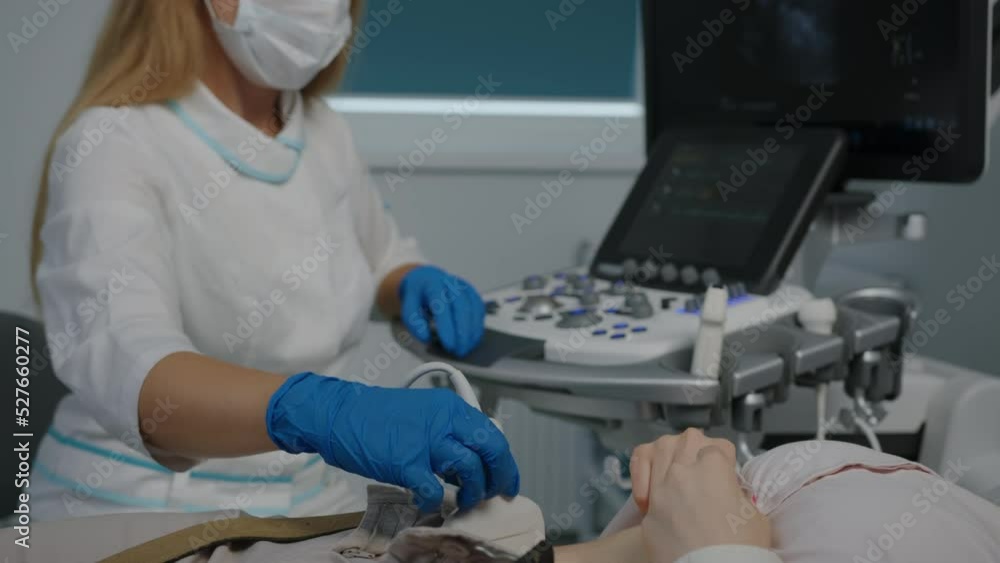 Ultrasound of the abdominal cavity at a doctor's appointment at the clinic Ultrasound of the abdominal cavity at a doctor's appointment at the clinic