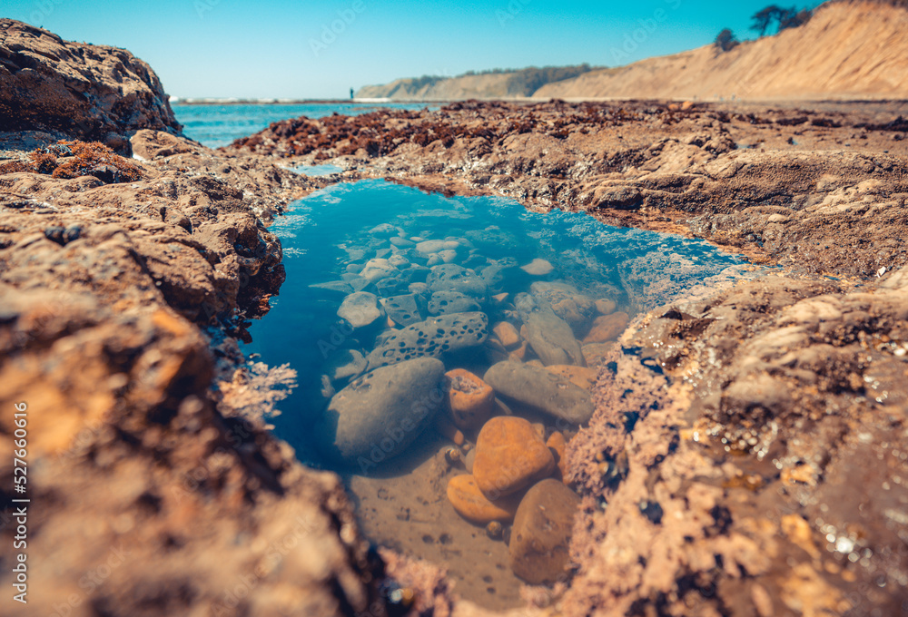 Tide Pool