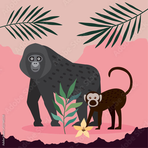 gorilla and macaque monkeys