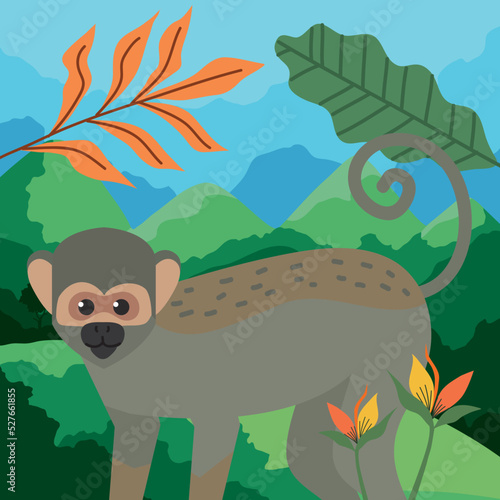 titi monkey in mountains