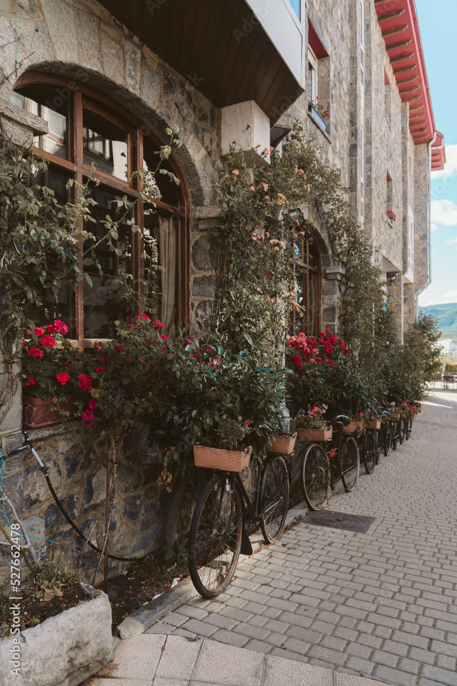 Obraz premium street in the town