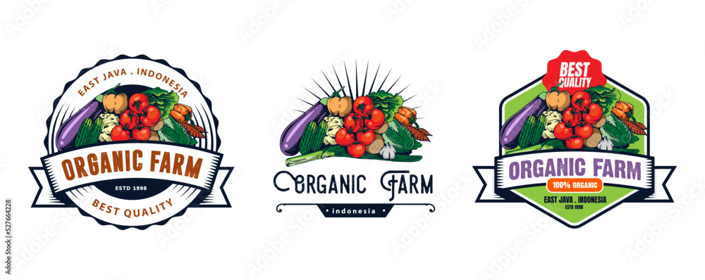 vegetable logo design