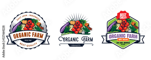 vegetable logo design
