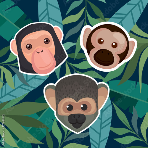 monkeys heads and leafs