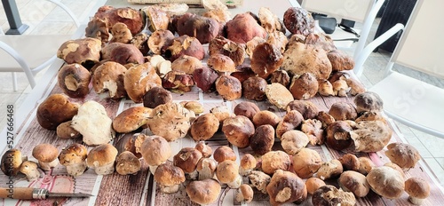 close up of dried mushrooms