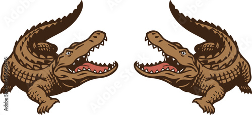 
crocodile Royalty Free Vector Image