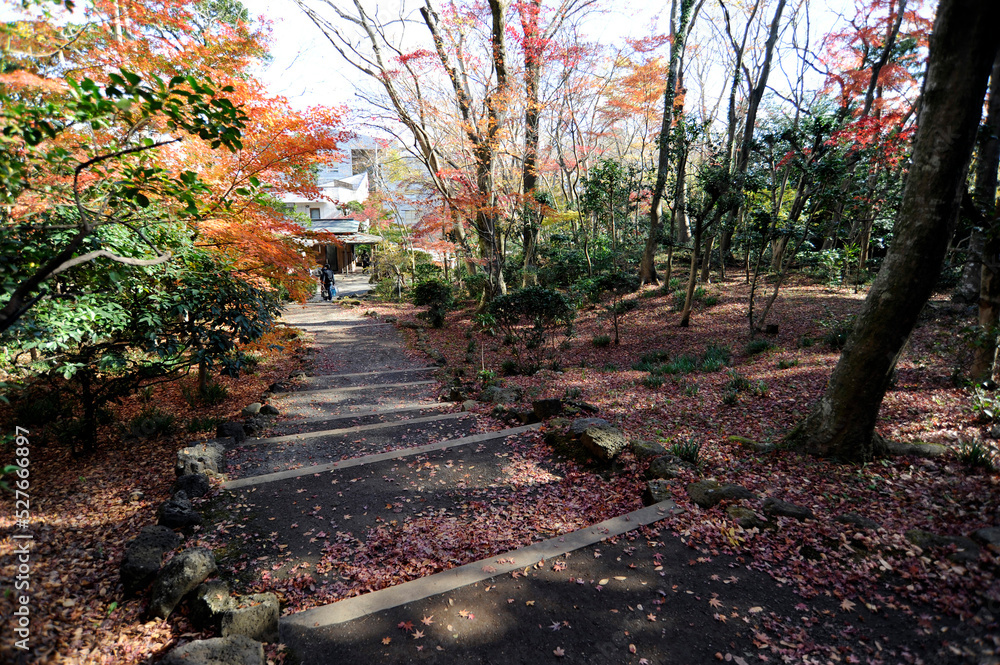 Naklejka premium 秋の庭園