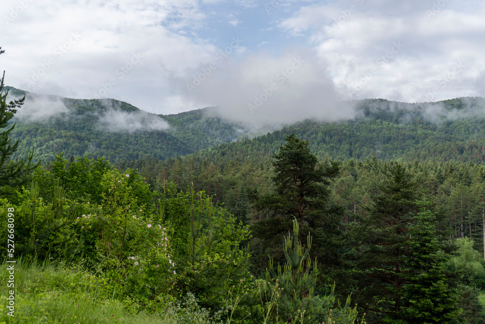 Mountains covered in fog in Bulgaria Mountains covered in fog in Bulgaria