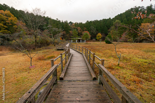 Wallpaper Mural 段戸裏谷原生林きららの森 Torontodigital.ca