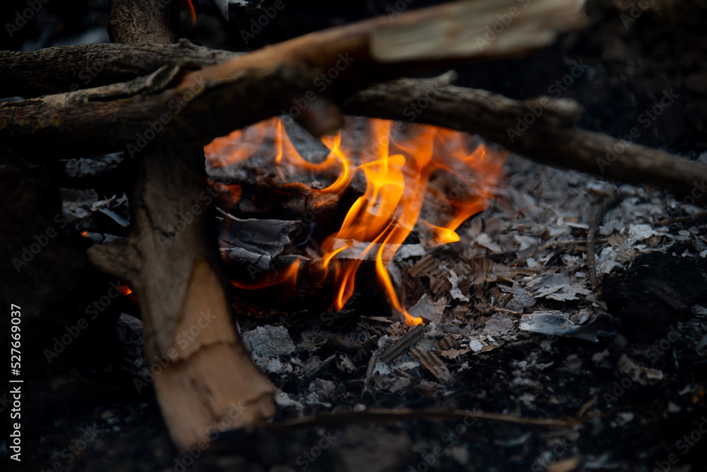 The fire is burning. Bonfire. Nature. Fire. The fire is burning. Bonfire. Nature. Fire.
