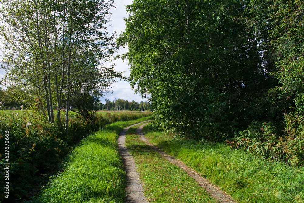 Idyllic summer scene in a natural rural landscape Idyllic summer scene in a natural rural landscape