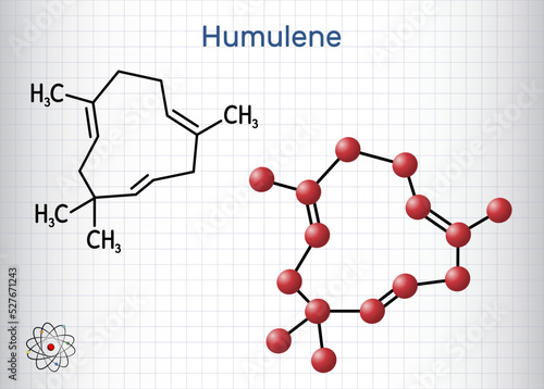 Humulene, alpha-humulene or α-caryophyllene molecule. It is component of the essential oil from flowering cone of hops plant, Humulus lupulus. Sheet of paper in a cage photo