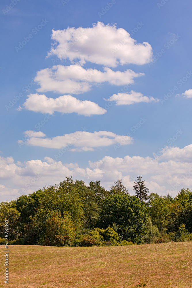 A dry meadow with trees and several prominent clouds