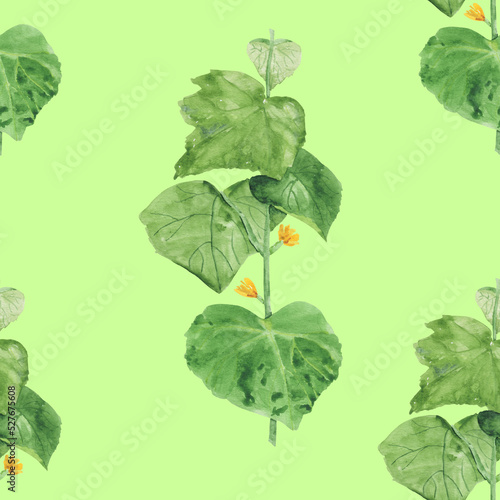 Seamless pattern with cucumbers and green leaves. Vegetable background for delicious and bright wallpaper, textiles, packaging, office and bed linen.
