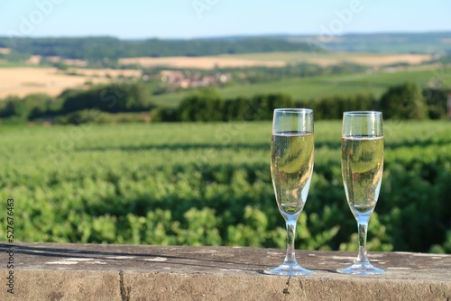 Deux verres à vin (flûtes / coupes) remplis de champagne, devant un paysage de vigne dans la Marne, en Champagne Ardenne, région Grand-Est (France)