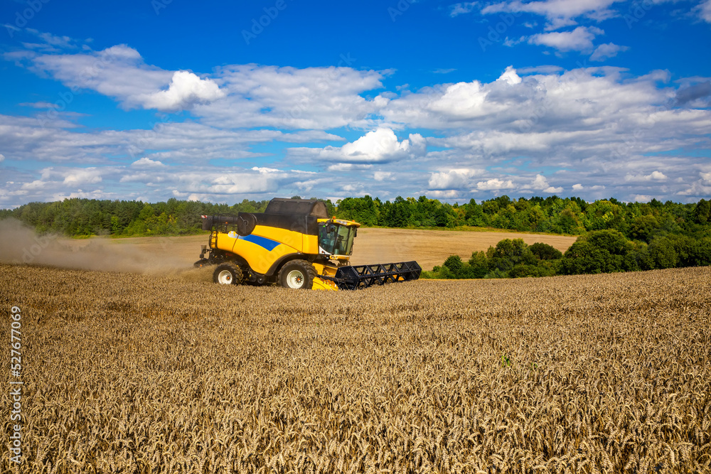 Obraz premium Combine harvester harvesting ripe wheat. Harvesting in Ukraine during the war and the world crisis for grain.