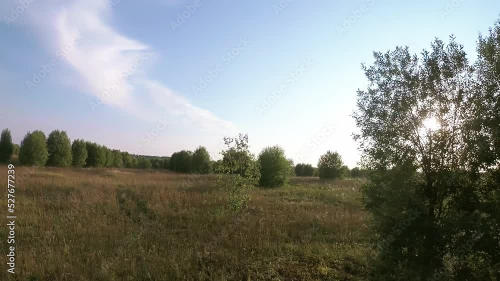 FPV flying low over meadows with isolated trees at sunset. First-person view, dynamic aerial landscape. Flying around a tree FPV flying low over meadows with isolated trees at sunset. First-person view, dynamic aerial landscape. Flying around a tree