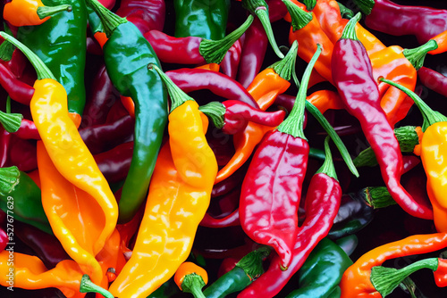 Canvas Print Colorful chili peppers