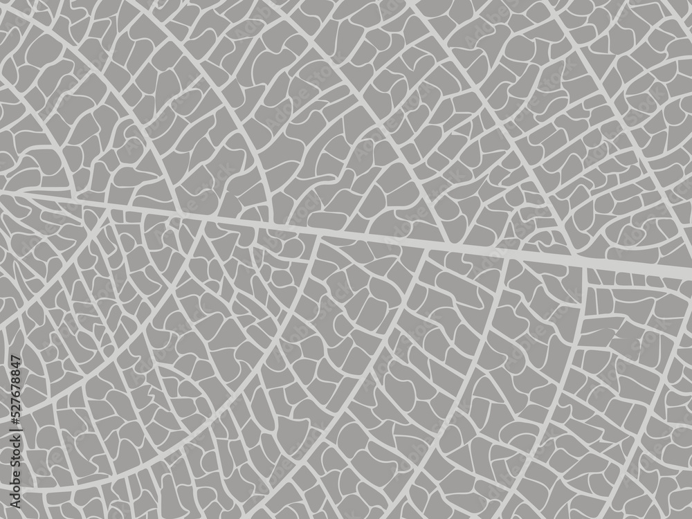 Vector illustration of leaves. Patterns of skeletal leaf cells, foliage branches, leaf veins for creative banner design. Vector illustration of leaves. Patterns of skeletal leaf cells, foliage branches, leaf veins for creative banner design.
