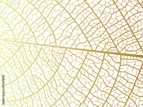 Vector illustration of gold leaves. Patterns of skeletal leaf cells, foliage branches, leaf veins for creative banner design.