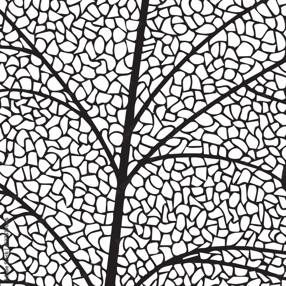 Obraz premium Vector illustration of leaves. Patterns of skeletal leaf cells, foliage branches, leaf veins for creative banner design.