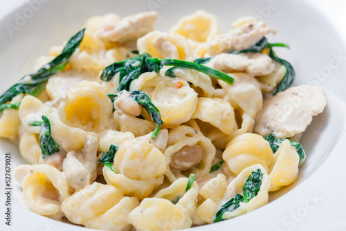 pasta with chicken meat, spinach and chick peas