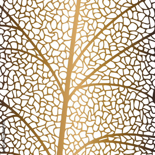 Photography Vector illustration of gold leaves