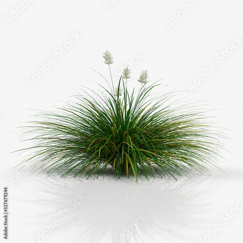 3d rendering of a bush, tall grass