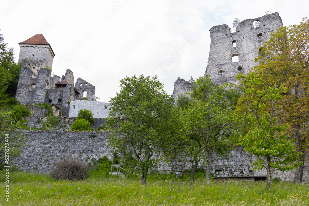 Castle ruins Kamen, Radovljica, Slovenia Castle ruins Kamen, Radovljica, Slovenia