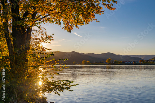 autumn view of Danube river in Wachau region, Austria photo